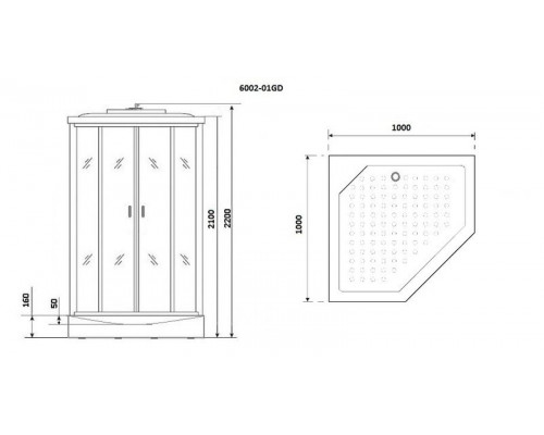 Душевая кабина Niagara Premium NG-6002-01GD 100х100 см